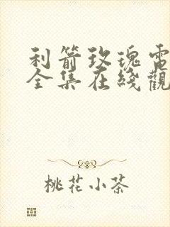 利箭玫瑰电视剧全集在线观看免费封面