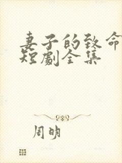 妻子的致命谎言短剧全集封面