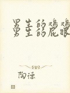 男生的鸡鸡插进男生的屁眼里