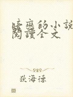 暗恋的小说免费阅读全文