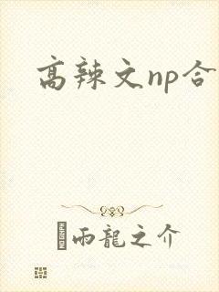 高辣文np合集封面