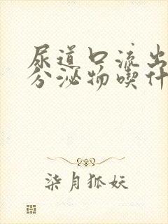 尿道口流出黄色分泌物吃什么药