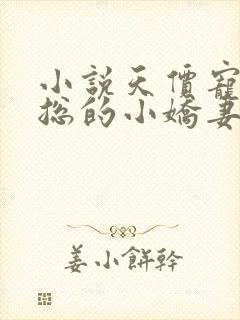 小说天价宠妻霍总的小娇妻