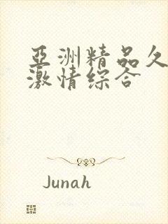 亚洲精品久久久激情综合