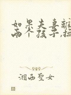 如果夫妻离婚有两个孩子,抚养权怎么判