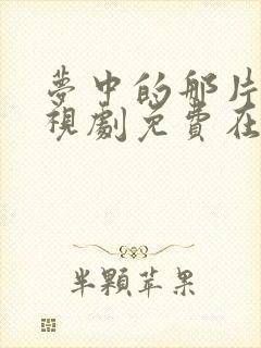 梦中的那片海电视剧免费在线观看