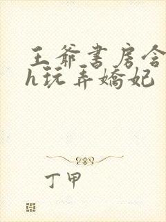 王爷书房含乳尖h玩弄娇妃封面