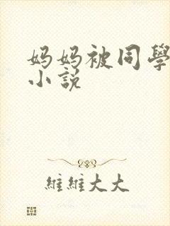 妈妈被同学调教小说封面