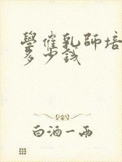 学催乳师培训要多少钱