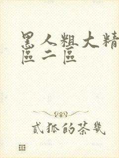 黑人粗大精品一区二区封面