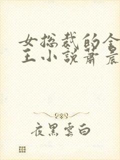 女总裁的全能兵王小说萧晨