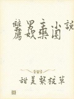 双男主小说文推荐娱乐圈封面