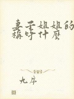 妻子姐姐的老公称呼什么封面