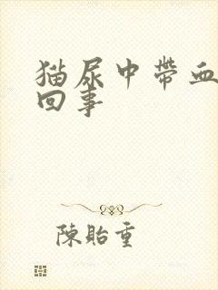 猫尿中带血怎么回事封面