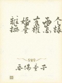 离婚有两个小孩抚养权怎样判定