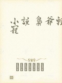 小说 枭爷轻点宠