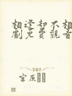 相逢却不相识短剧免费观看