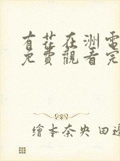 有花在洲电视剧免费观看完整版封面