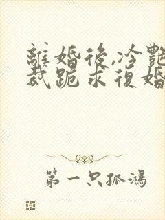 离婚后,冷艳总裁跪求复婚全集在线阅读