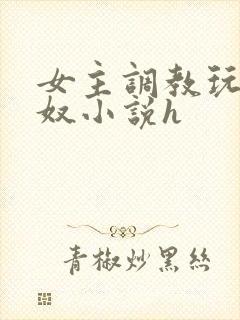 女主调教玩弄男奴小说h