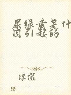 尿绿黄是什么原因引起的