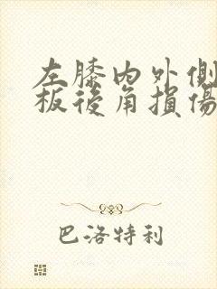 左膝内外侧半月板后角损伤封面