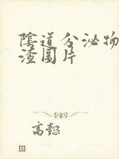 阴道分泌物豆腐渣图片