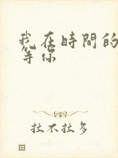 我在时间的尽头等你
