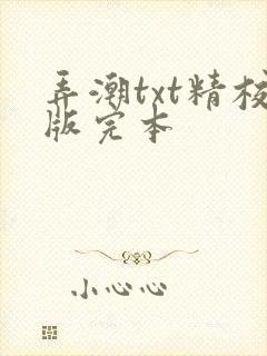 弄潮txt精校版完本