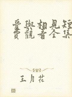 爱与相见短剧免费观看全集高清版