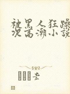 被黑人狂躁12次高潮小说