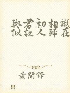 与君初相识·恰似故人归在线观看