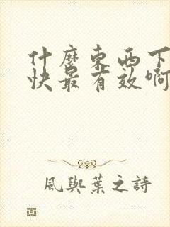 什么东西下奶最快最有效啊?