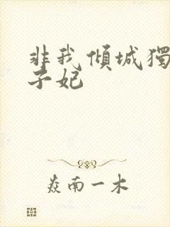 非我倾城独宠太子妃