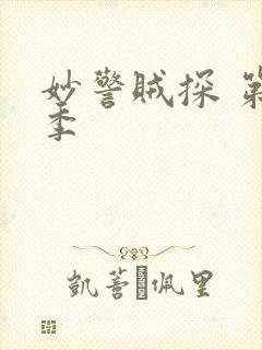 妙警贼探 第5季