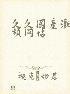 久久国产激情视频网站