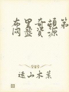 布里奇顿第一季网盘资源