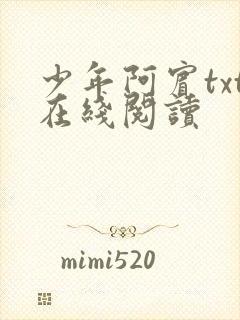 少年阿宾txt在线阅读