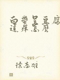 白带呈豆腐渣阴道痒怎么