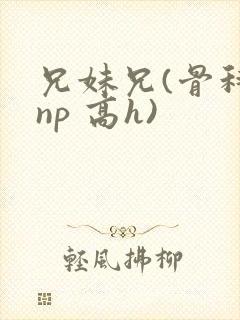 兄妹兄(骨科 np 高h)