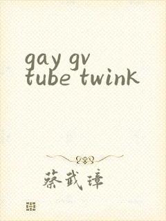 gay gv tube twink封面