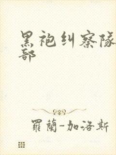 黑袍纠察队有几部