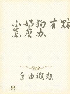 小奶狗有点拉稀怎么办