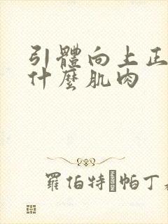 引体向上正手练什么肌肉