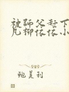 被师父赶下山叶凡柳依依小说