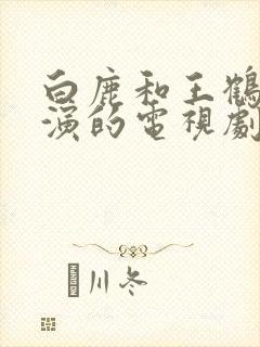 白鹿和王鹤棣主演的电视剧