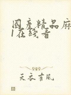 国产精品麻豆91在线看