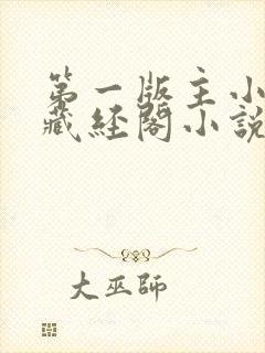 第一版主小说网藏经阁小说网