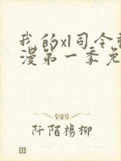 我的xl司令动漫第一季免费观看全集高清