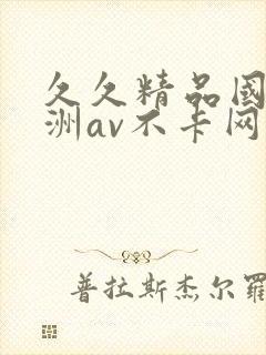 久久精品国产亚洲av不卡网站